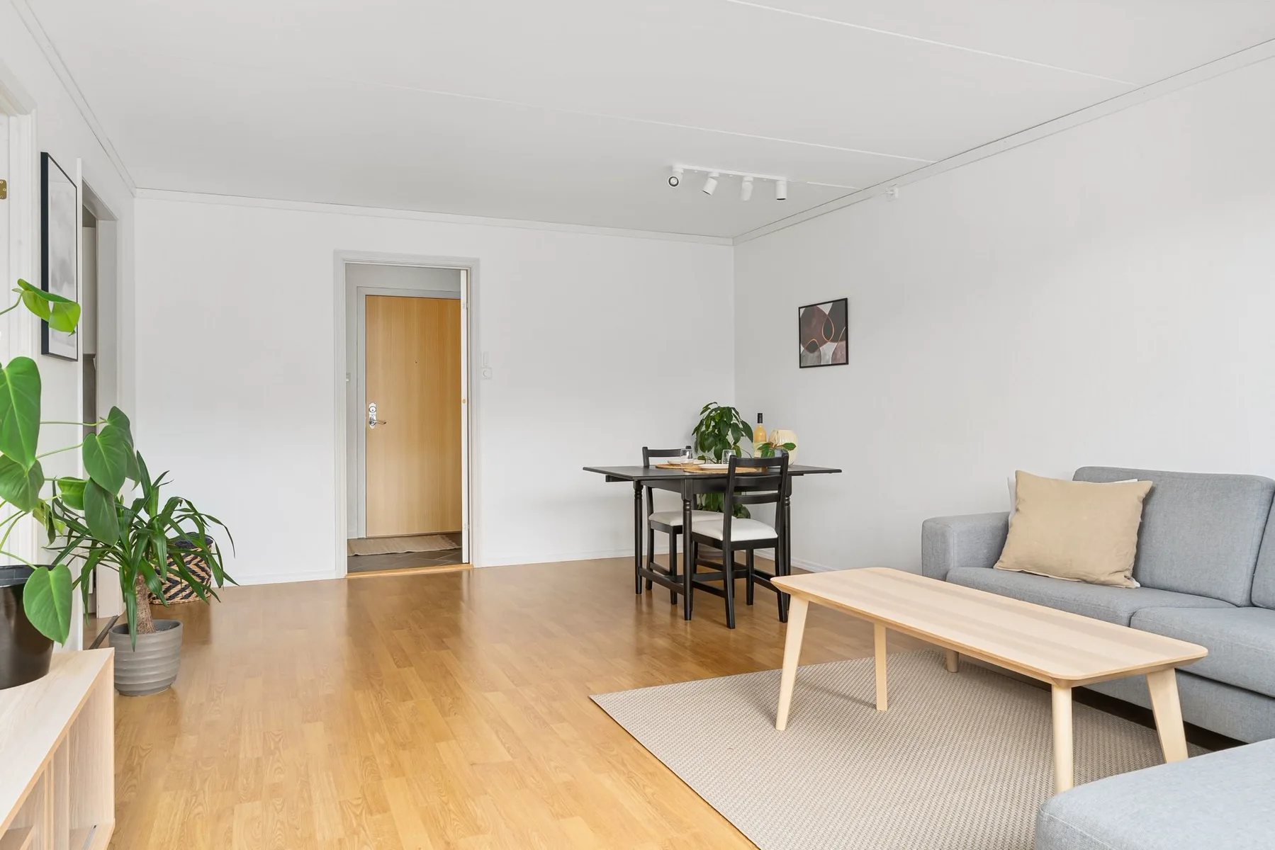 Wood flooring in an open-plan room