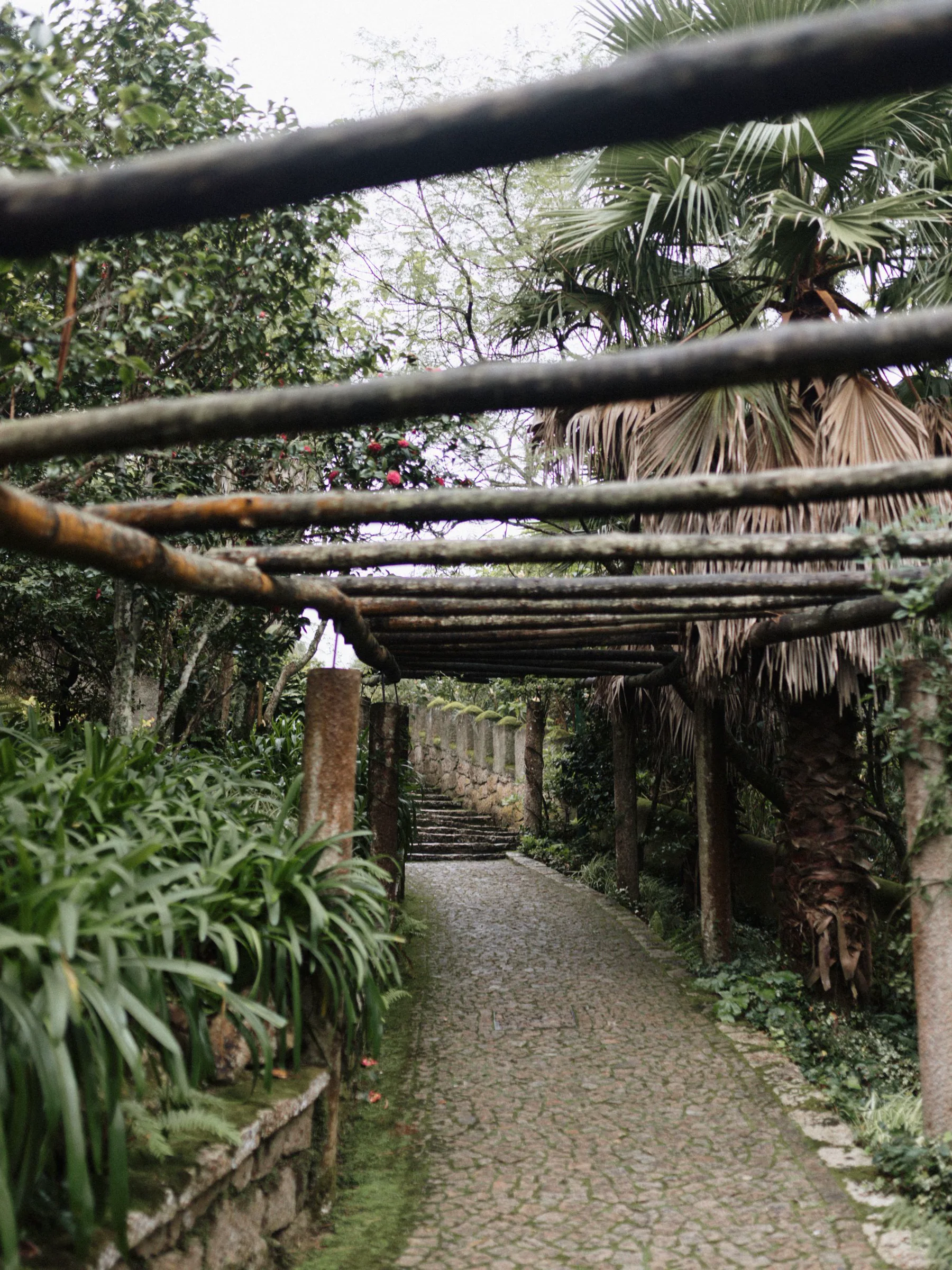 Timber pergola and garden walkway